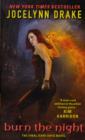 Burn the Night : The Final Dark Days Novel - Book