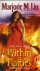 Within the Flames : A Dirk and Steele Novel - Book