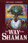 The Way of the Shaman - eBook