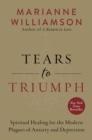 Tears to Triumph : The Spiritual Journey from Suffering to Enlightenment - eBook