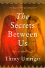 The Secrets Between Us - Book