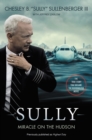 Sully [Movie Tie-In] UK : My Search for What Really Matters - eBook