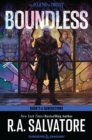 Boundless : A Drizzt Novel - eBook