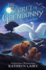 The Secret of Glendunny #2: The Searchers - Book
