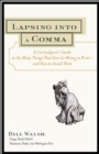 Lapsing Into a Comma : A Curmudgeon's Guide to the Many Things That Can Go Wrong in Print--And How to Avoid Them - eBook
