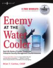 Enemy at the Water Cooler : True Stories of Insider Threats and Enterprise Security Management Countermeasures - eBook