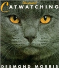 Illustrated Catwatching - Book