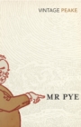 Mr Pye - Book