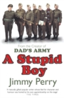 A Stupid Boy - Book
