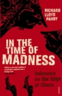 In The Time Of Madness - Book