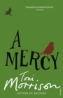 A Mercy - Book