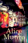 Friend of My Youth - Book