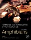 Hormones and Reproduction of Vertebrates, Volume 2 : Amphibians - Book