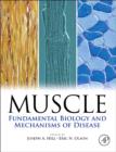 Muscle 2-Volume Set : Fundamental Biology and Mechanisms of Disease - Book