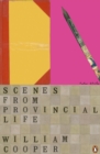 Scenes from Provincial Life : Including Scenes from Married Life - Book
