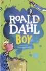 Boy : Tales of Childhood - Book