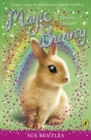 Magic Bunny: Holiday Dreams - eBook