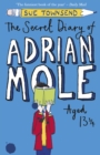 The Secret Diary of Adrian Mole Aged 13 ¾ - eBook