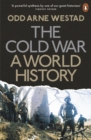 The Cold War : A World History - eBook