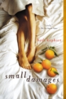 Small Damages - Book