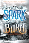 Between The Spark And The Burn - Book