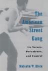 The American Street Gang : Its Nature, Prevalence, and Control - eBook