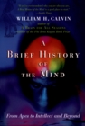 A Brief History of the Mind : From Apes to Intellect and Beyond - eBook