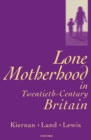 Lone Motherhood in Twentieth-Century Britain : From Footnote to Front Page - eBook