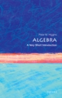 Algebra: A Very Short Introduction - eBook