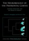 The Neurobiology of the Prefrontal Cortex : Anatomy, Evolution, and the Origin of Insight - eBook