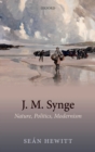 J. M. Synge : Nature, Politics, Modernism - eBook