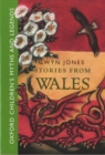Stories from Wales - Book