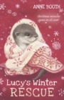 Lucy's Winter Rescue - eBook