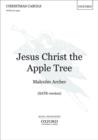 Jesus Christ the Apple Tree - Book