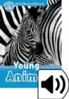 Oxford Read and Discover: Level 1: Young Animals Audio Pack - Book