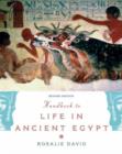 Handbook to Life in Ancient Egypt : Revised Edition - Book
