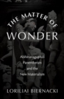 The Matter of Wonder : Abhinavagupta's Panentheism and the New Materialism - Book