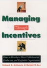 Managing through Incentives : How to Develop a More Collaborative, Productive, and Profitable Organization - eBook