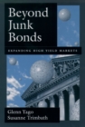 Beyond Junk Bonds : Expanding High Yield Markets - eBook