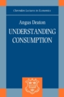 Understanding Consumption - Book