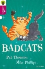 Oxford Reading Tree All Stars: Oxford Level 10 Badcats : Level 10 - Book
