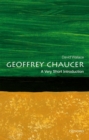 Geoffrey Chaucer: A Very Short Introduction - Book