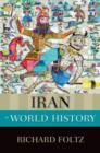 Iran in World History - Book