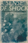 ASense of Shock : The Impact of Impressionism on Modern British and Irish Writing - eBook