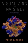 Visualizing the Invisible : Imaging Techniques for the Structural Biologist - eBook