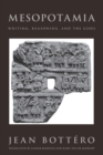 Mesopotamia : Writing, Reasoning, and the Gods - Book