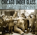 Chicago under Glass : Early Photographs from the Chicago Daily News - Book