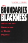 The Boundaries of Blackness - AIDS and the Breakdown of Black Politics - Book