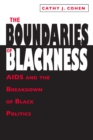 The Boundaries of Blackness : AIDS and the Breakdown of Black Politics - eBook