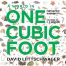 A World in One Cubic Foot : Portraits of Biodiversity - Book